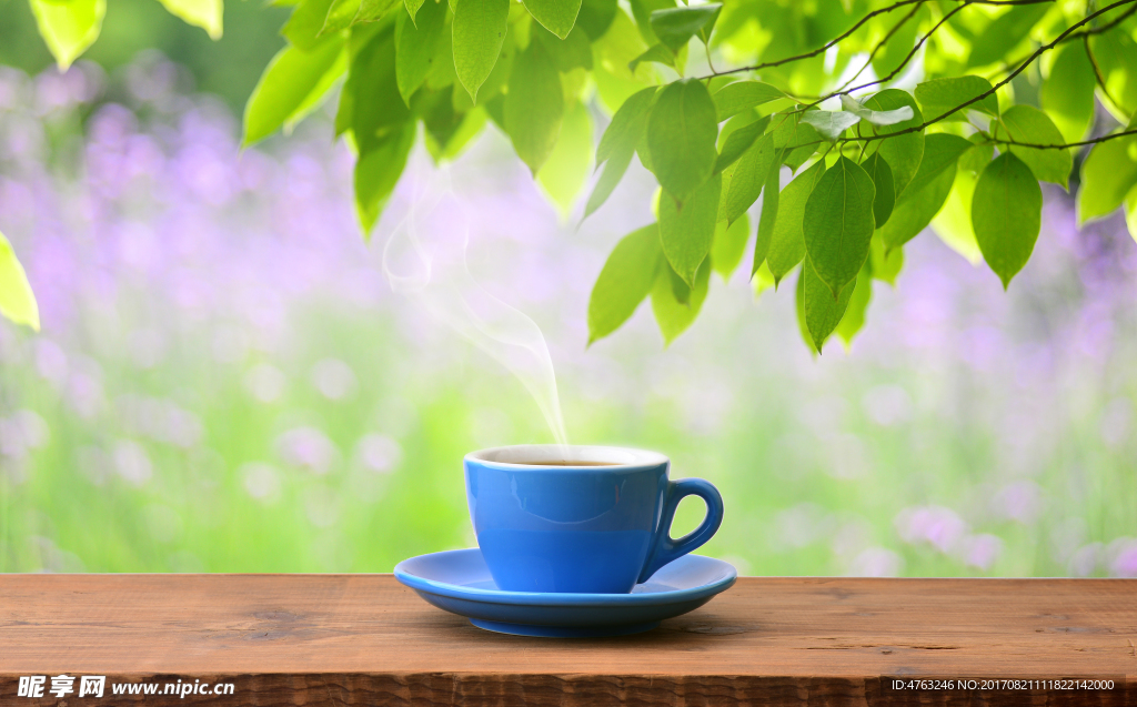 茶圖片
