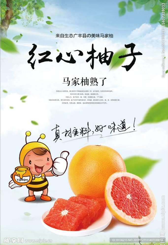 清新水果红心柚子美食海报