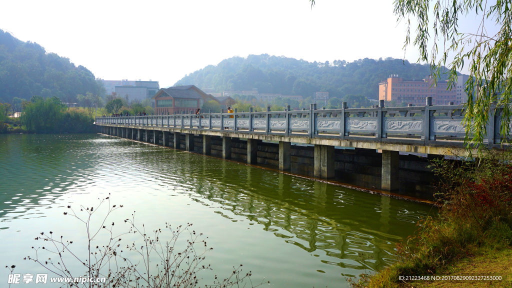 公園水景
