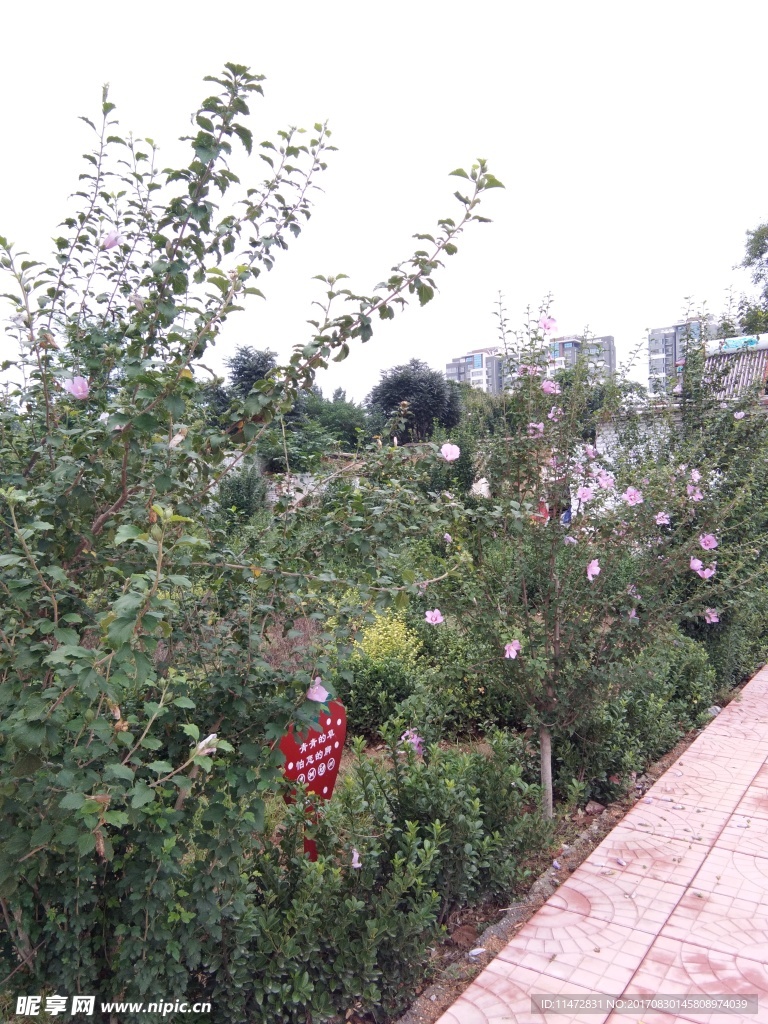 城市綠化
