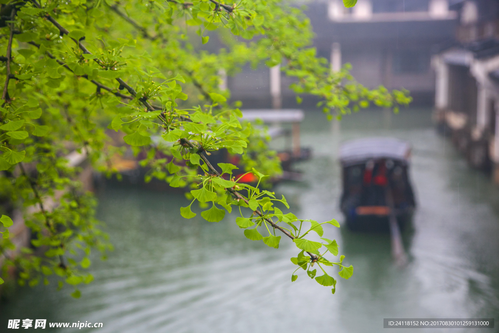 河流風景