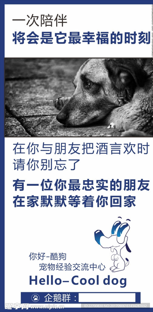 愛護寵物宣傳海報