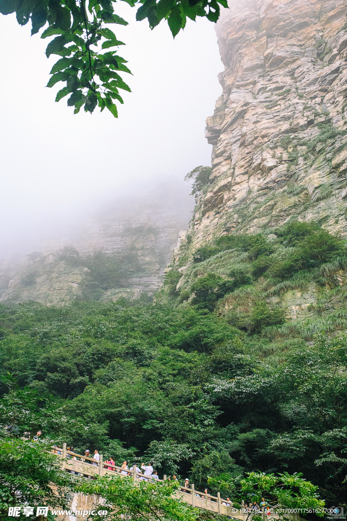 廬山云霧