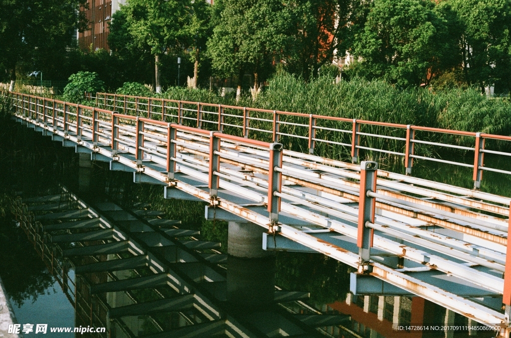 橋