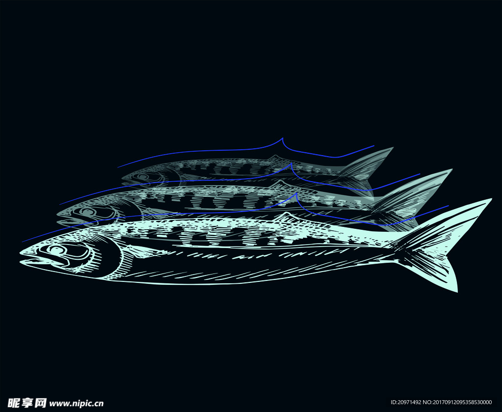 魚