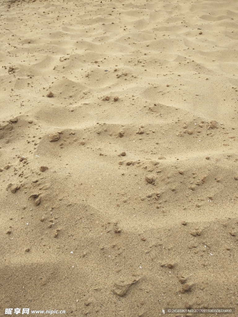 沙滩  沙子