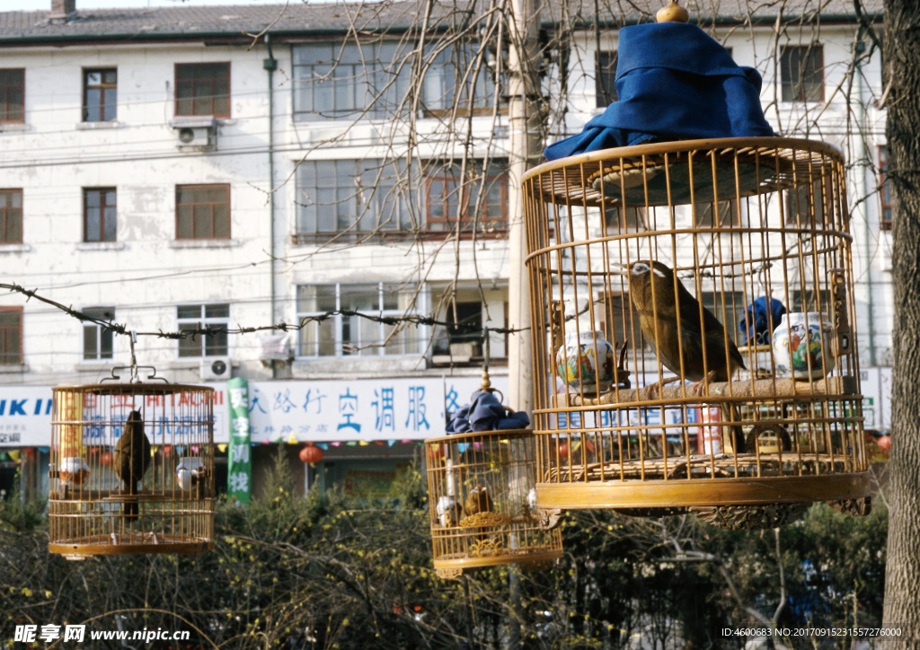 中華風(fēng)情素材