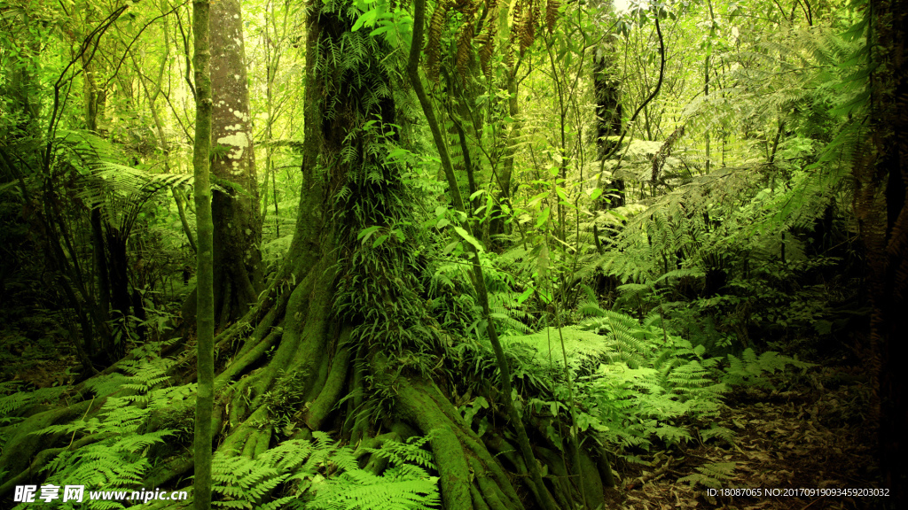 壁紙 電腦桌面 風景  自然景