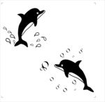 海豚  水滴  水珠
