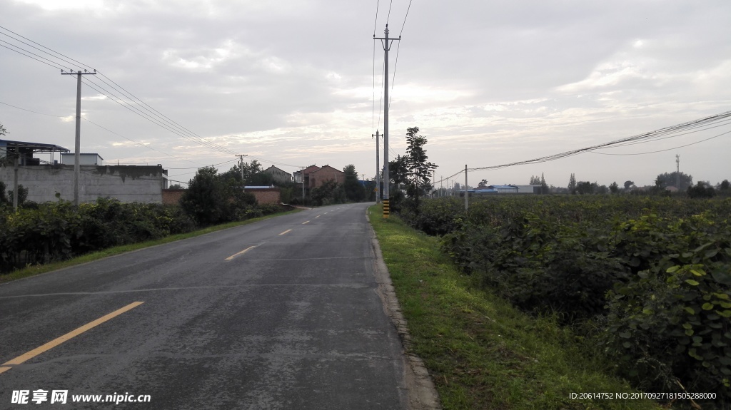 鄉村道路