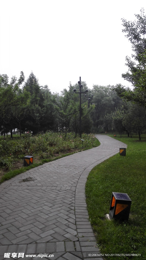 公園美景