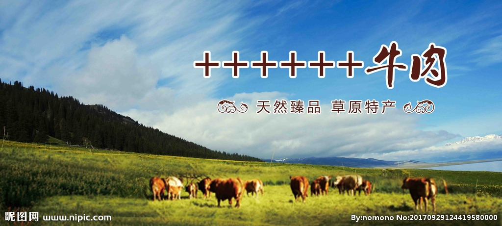 牛肉牛群山坡草原湖泊