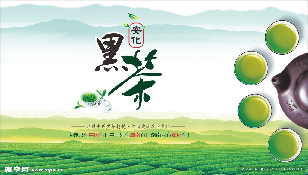 茶叶种植海报