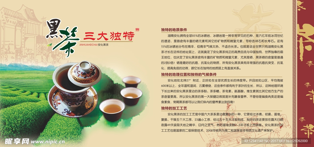 茶文化展板