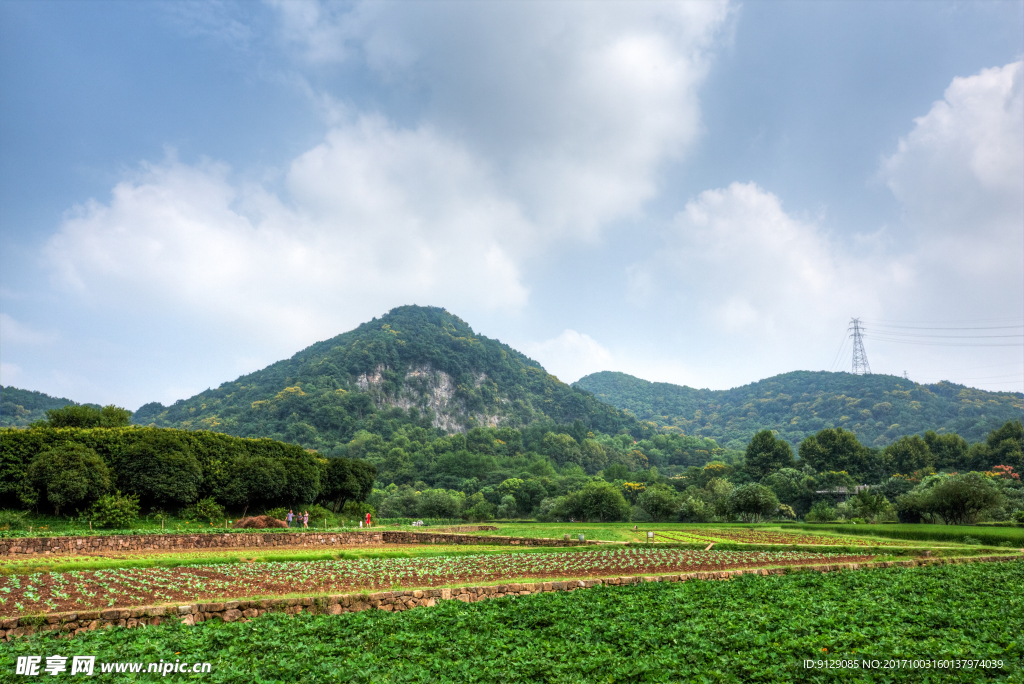 杭州八卦田
