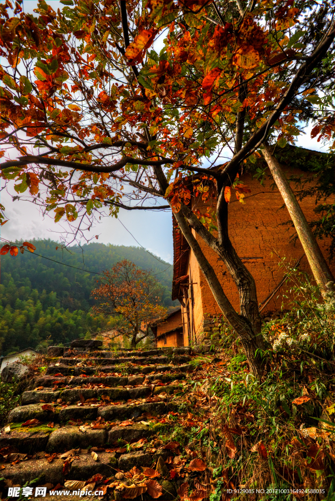 九華鄉(xiāng)周公山村