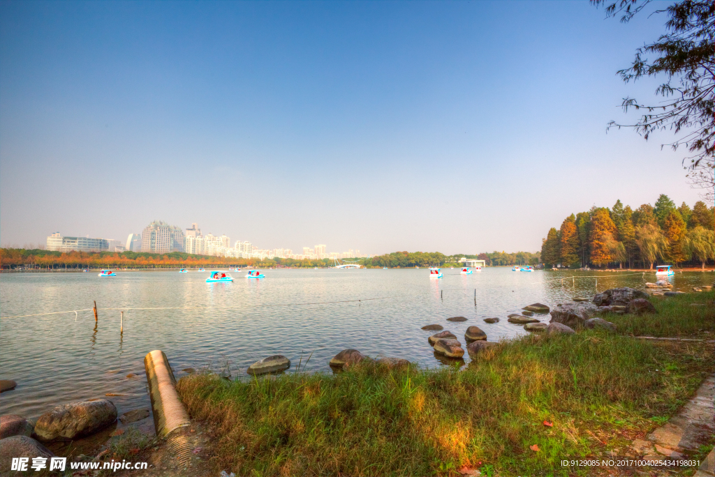 上海世紀公園