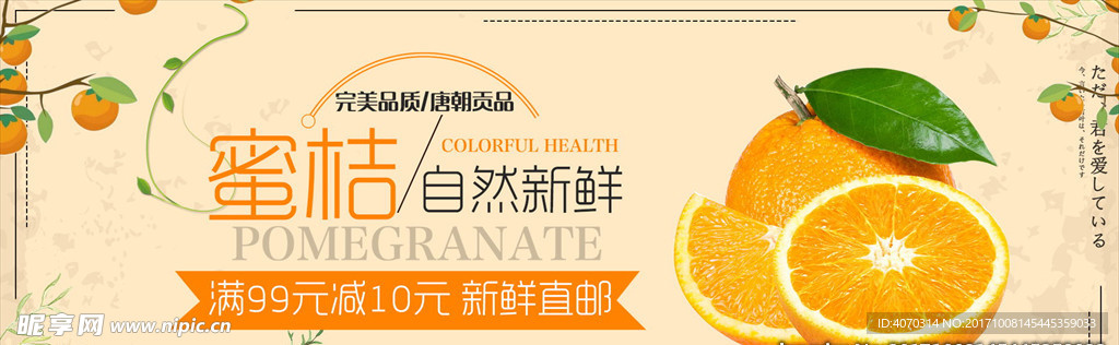 橙色清新秋季水果橘子蜜桔电商