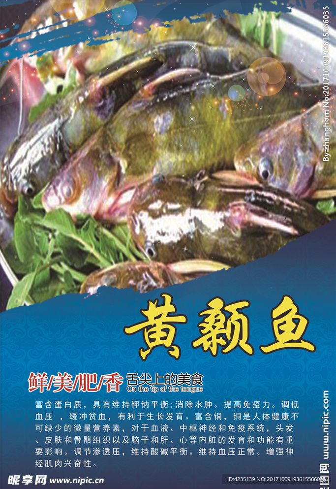 黄颡鱼营养及价值