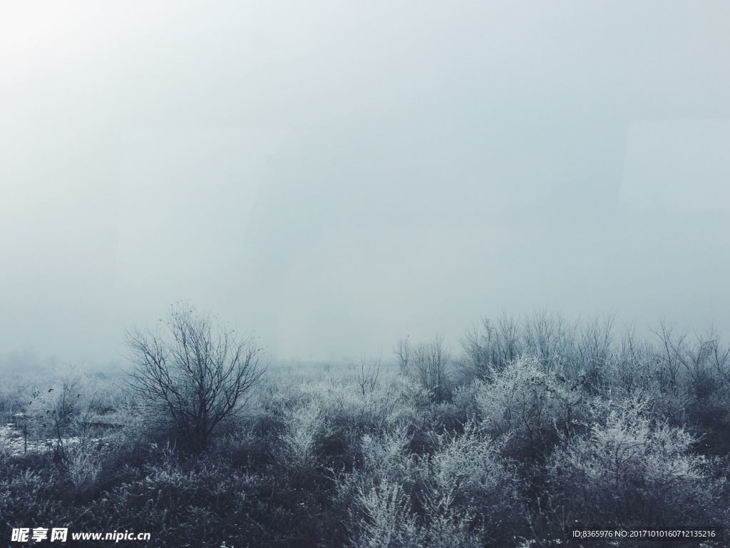 雪景