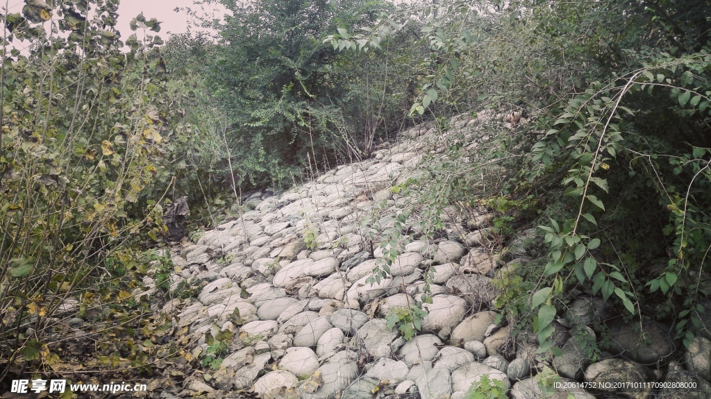 河堤
