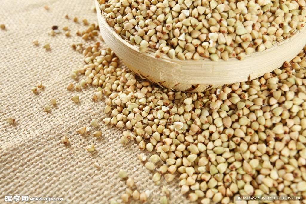 苦蕎茶