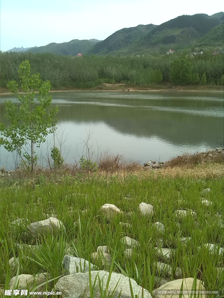 戶外河流美景