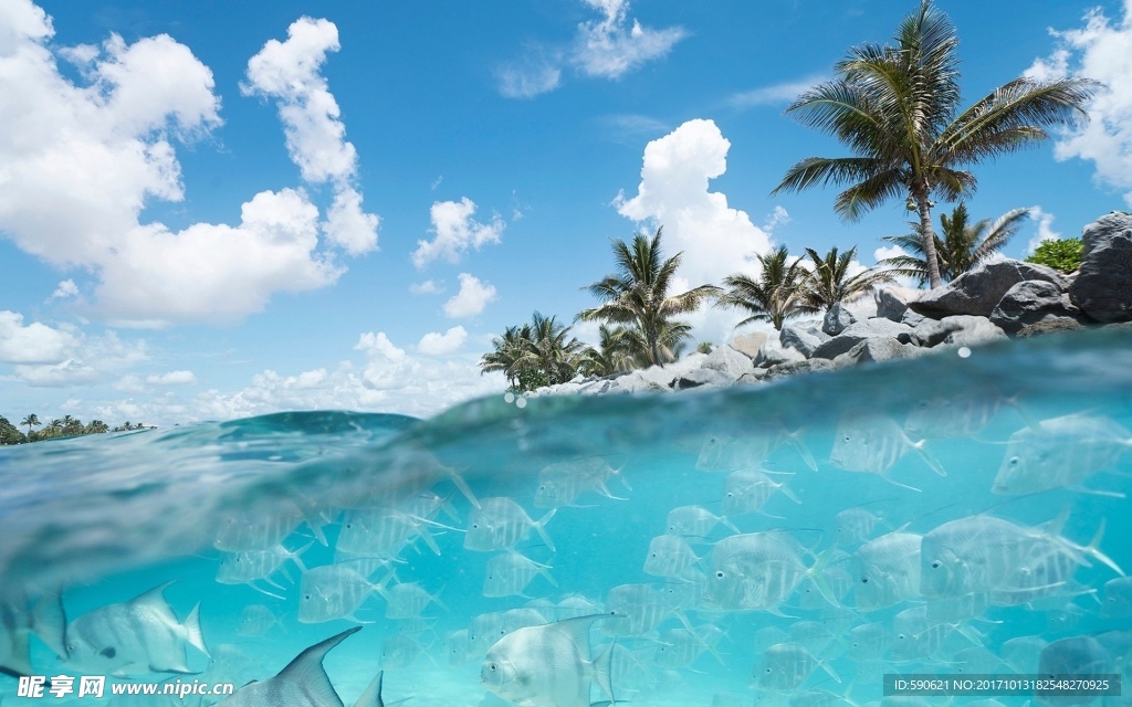 椰樹海浪
