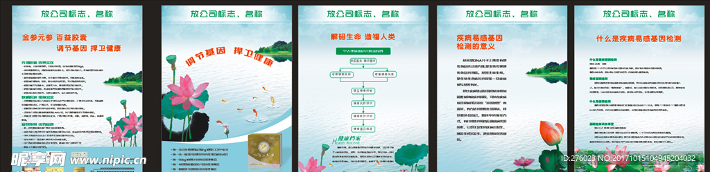 荷花背景  展板模板