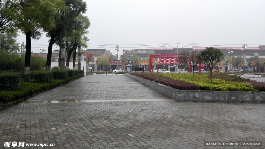 公園道路
