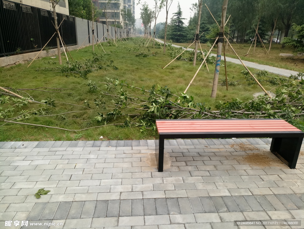 小園