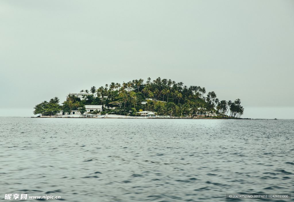 小島美景