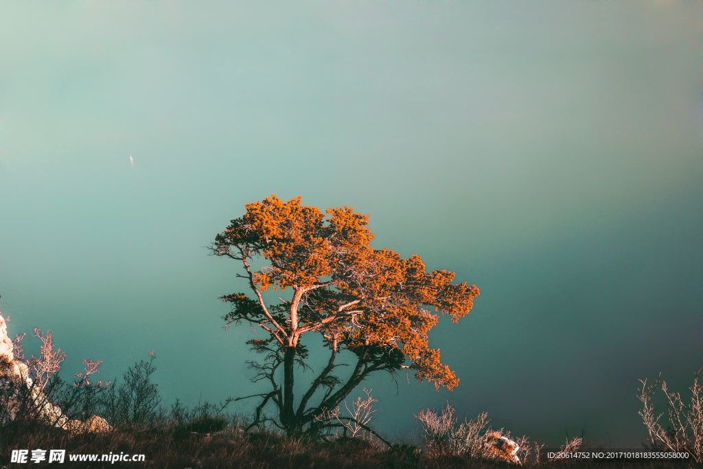 山丘美景