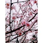 三生三世十里桃花