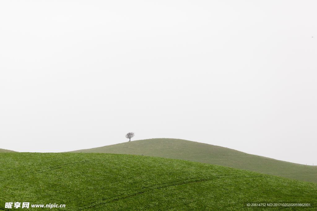 山丘美景