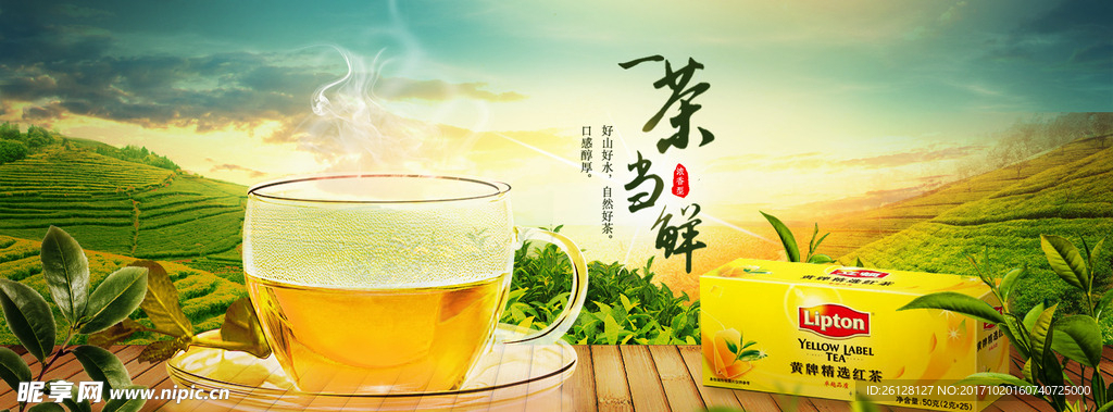 茶葉海報(bào)