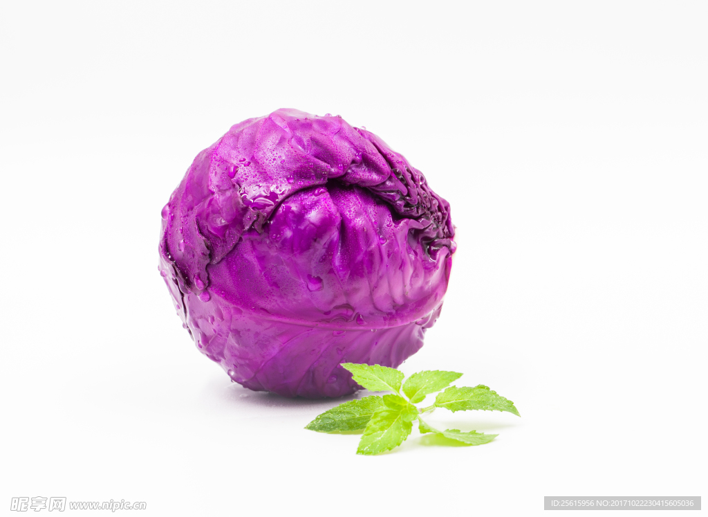 紫包菜