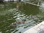 恭王府