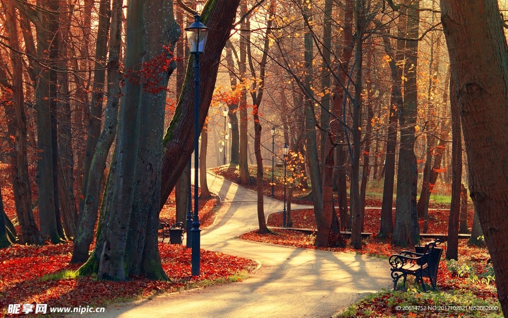 公園美景