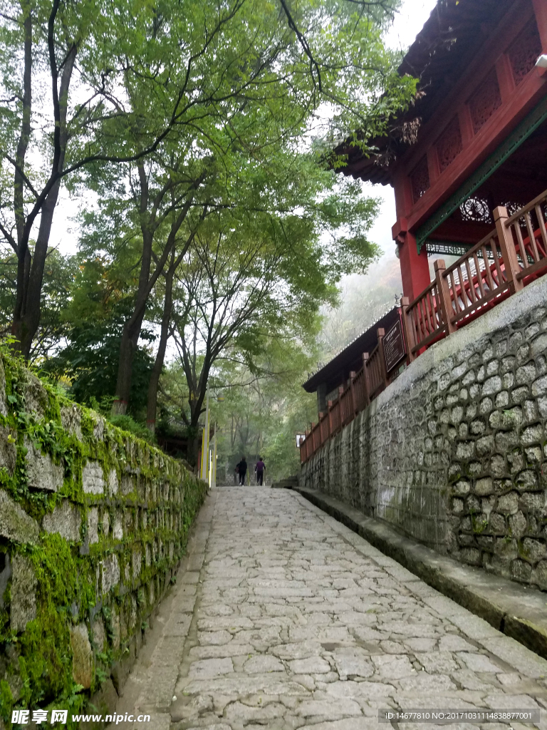 菠蘿坪
