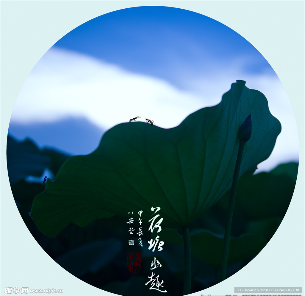 荷塘幽趣-螞蟻