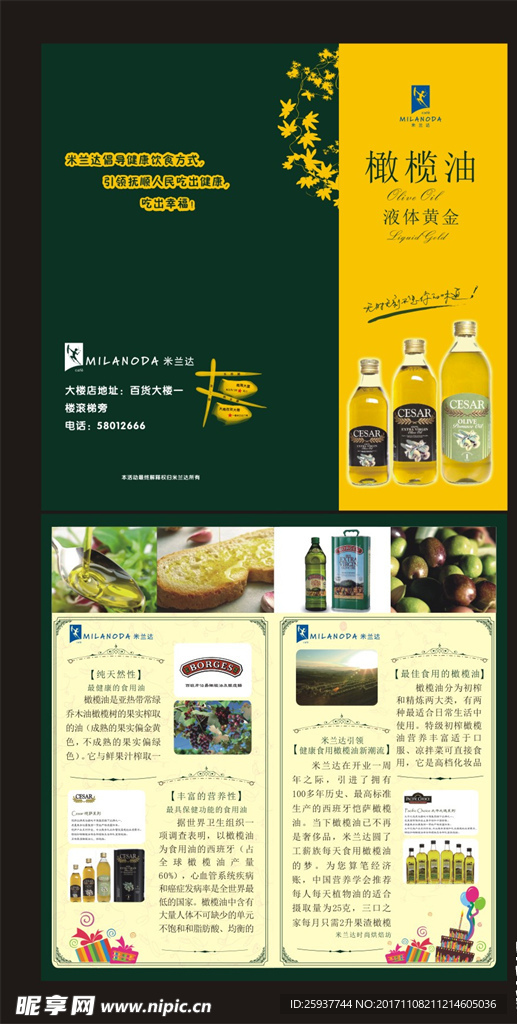 橄榄油宣传单页