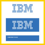 IBM集团