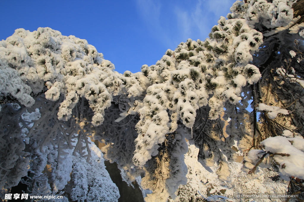 天竺山雪景