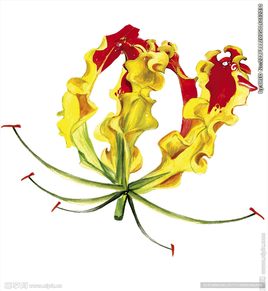 花朵花卉展板海报设计素材