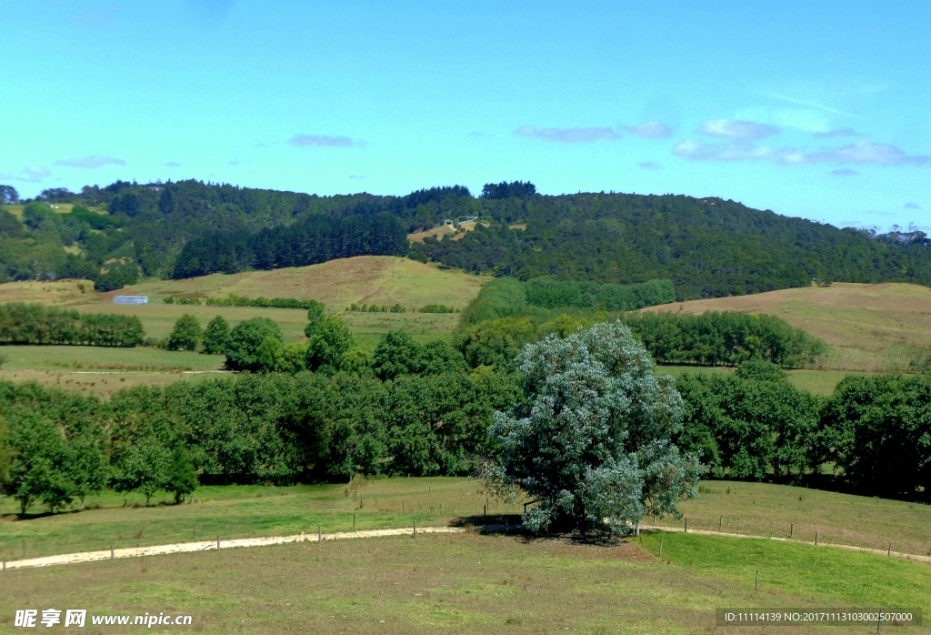 新西兰自然风景