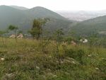 礦大后山