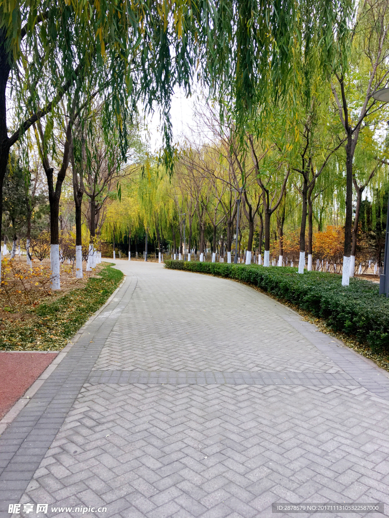 鄉間小道   鄉間小路