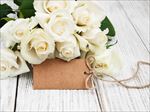白色玫瑰花束礼物卡