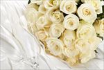 玫瑰花束白色花卉